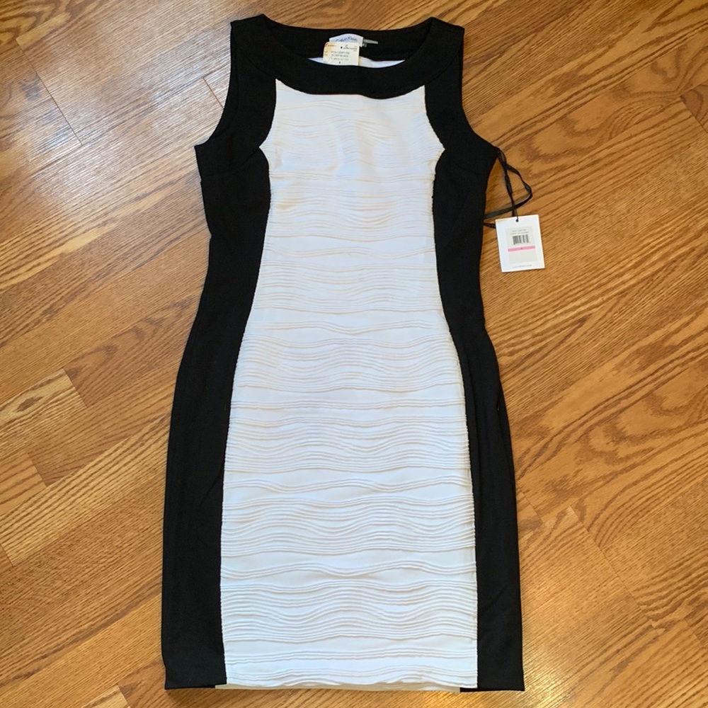 Calvin Klein Black & White Dress 6